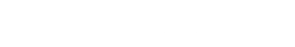 Expired Wiki Links Logo Transparent